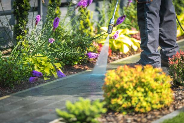 Trusted Thomson, GA Pressure Washing Services Experts