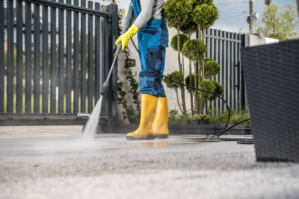 Best Vinyl Siding Pressure Washing in Thomson, GA
